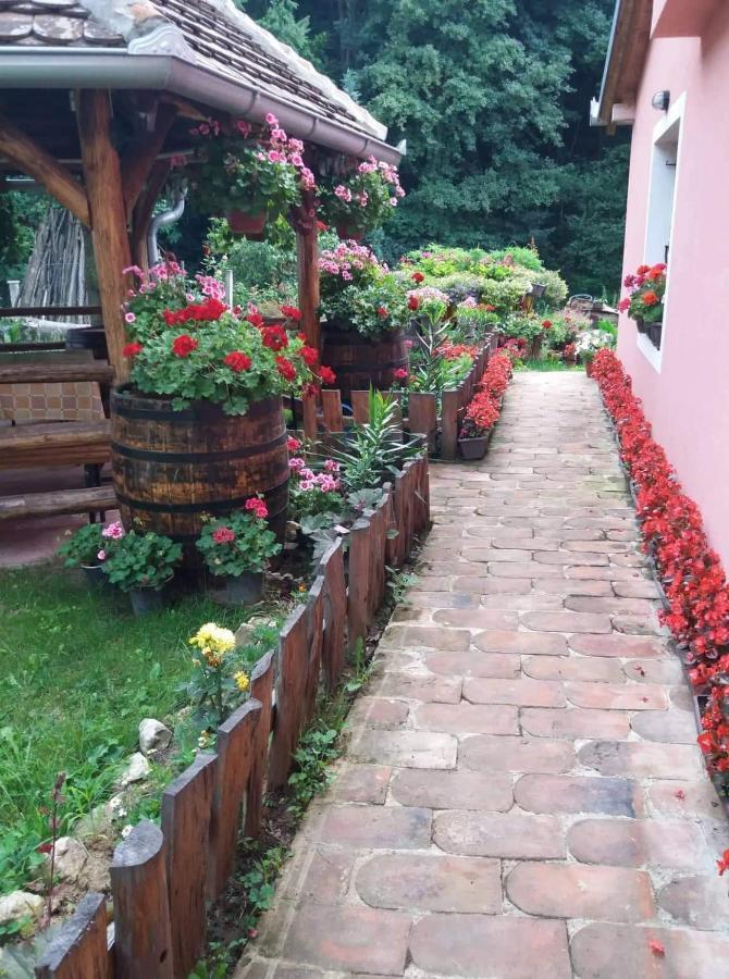 Apartmán Valja Mare Moma Golubac Exteriér fotografie